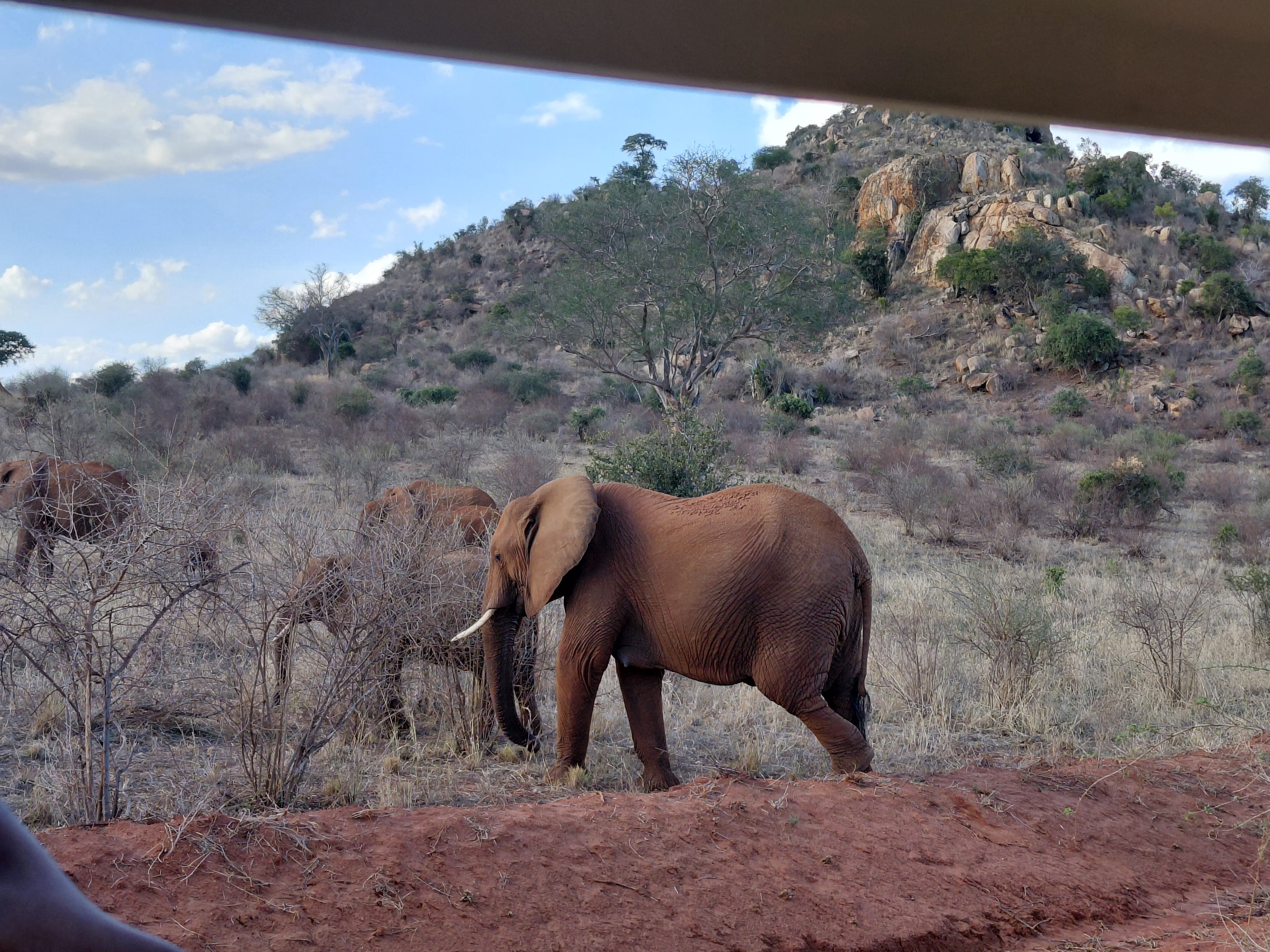 Kenya safari - 20